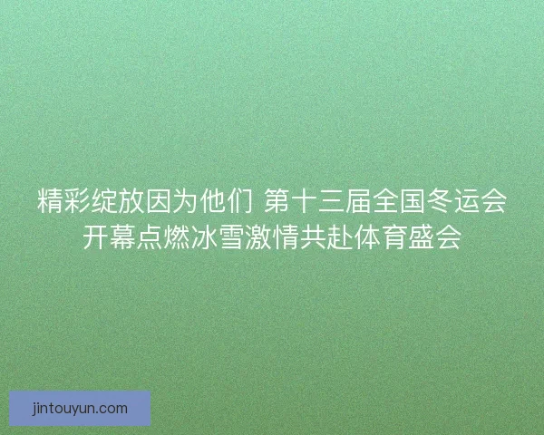 精彩绽放因为他们 第十三届全国冬运会开幕点燃冰雪激情共赴体育盛会