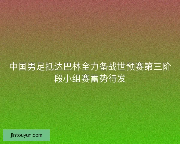 中国男足抵达巴林全力备战世预赛第三阶段小组赛蓄势待发