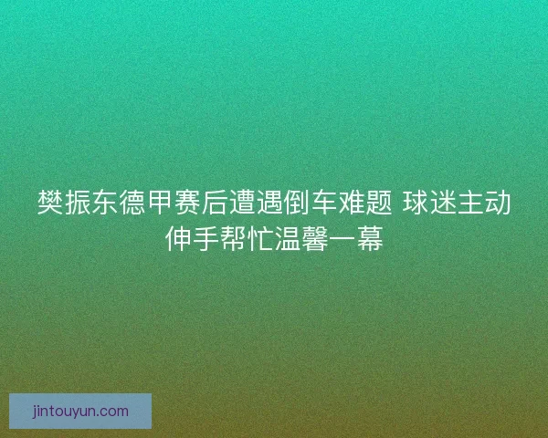 樊振东德甲赛后遭遇倒车难题 球迷主动伸手帮忙温馨一幕