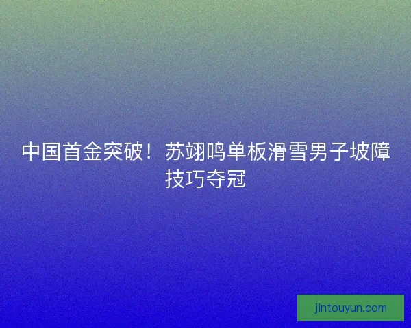 中国首金突破！苏翊鸣单板滑雪男子坡障技巧夺冠